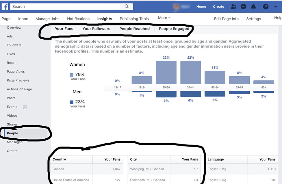 FB Insights