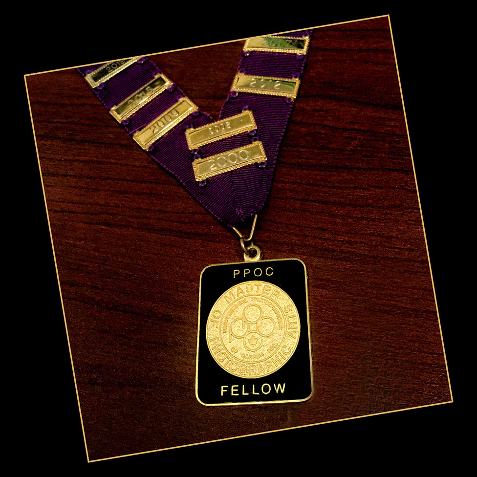 fellowship award