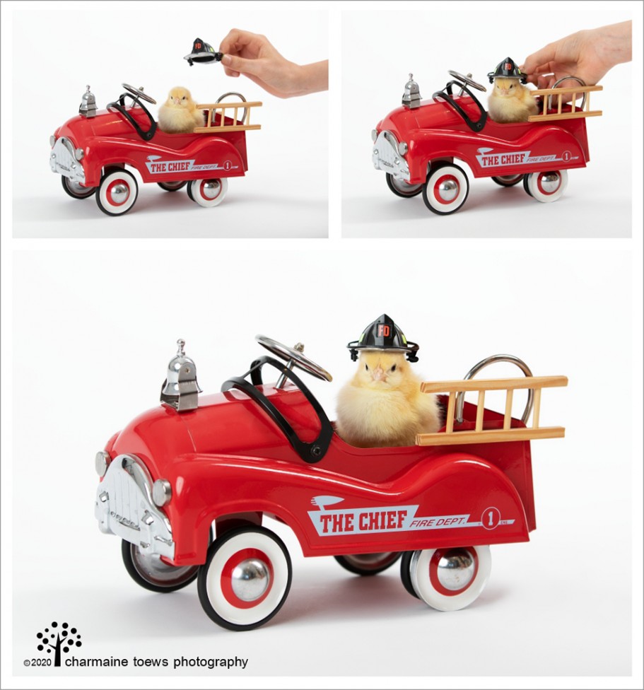 CHICKS FIRE ENGINE