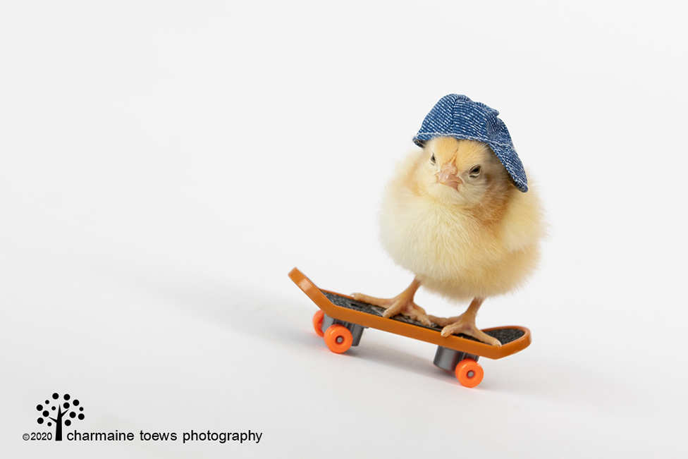 skater chick