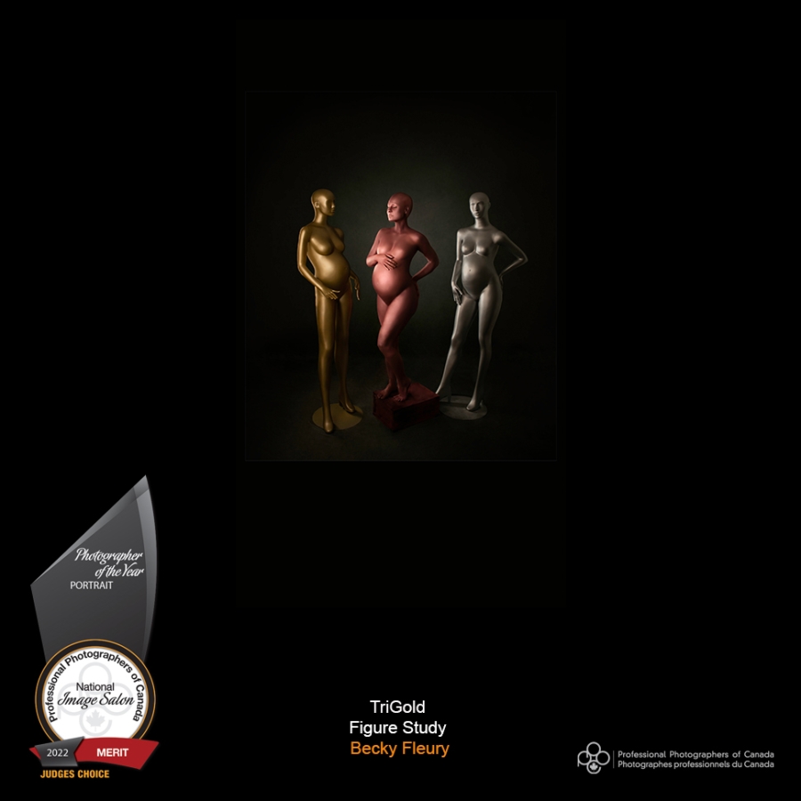 Photographer of the Year - Figure Study