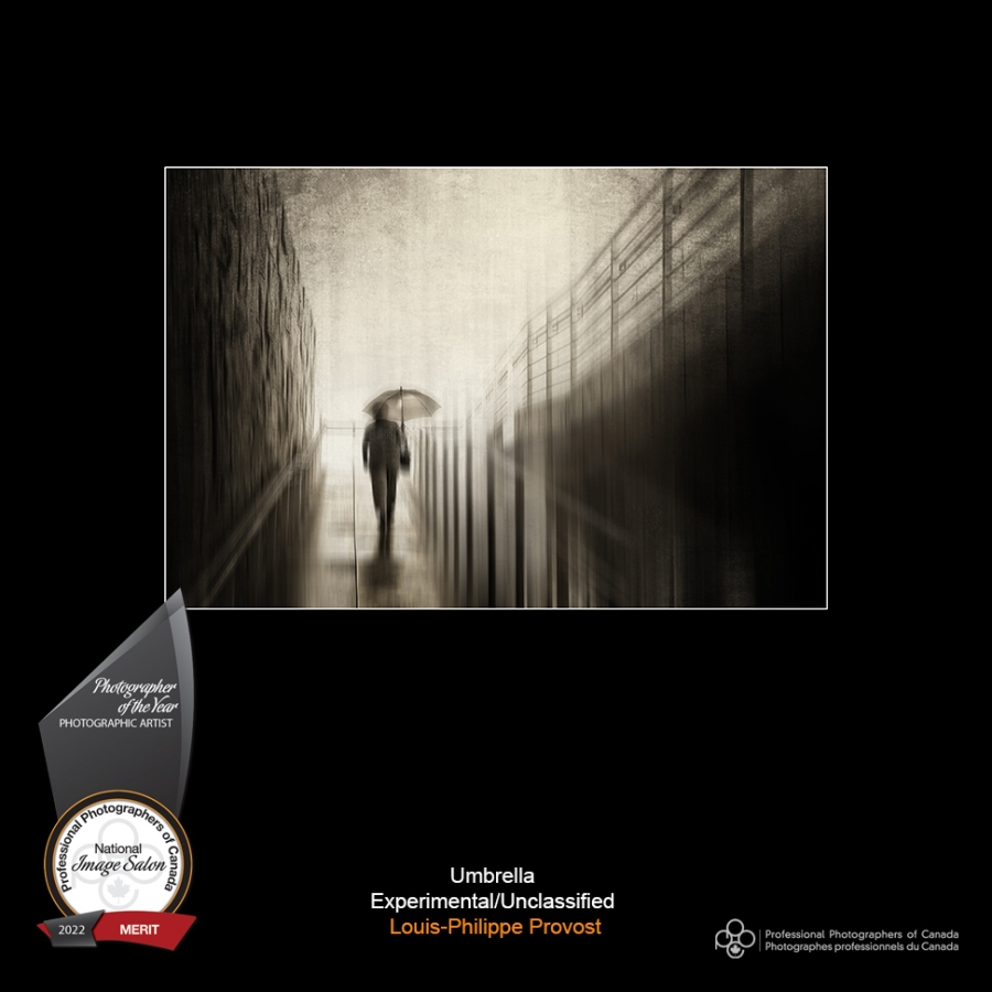 Photographer of the Year - Experimental/Unclassified