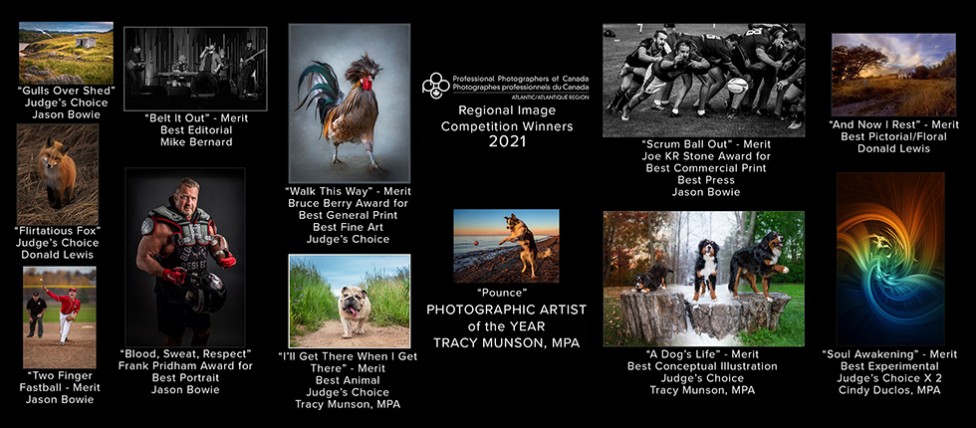 The winners of the PPOC Atlantic 2022 Image Competition and Salon