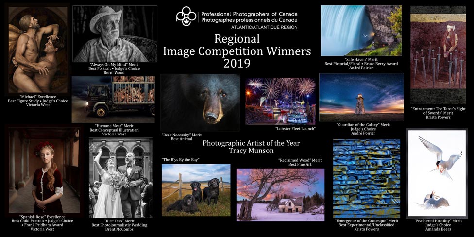 ppoc-at image salon winners 2020