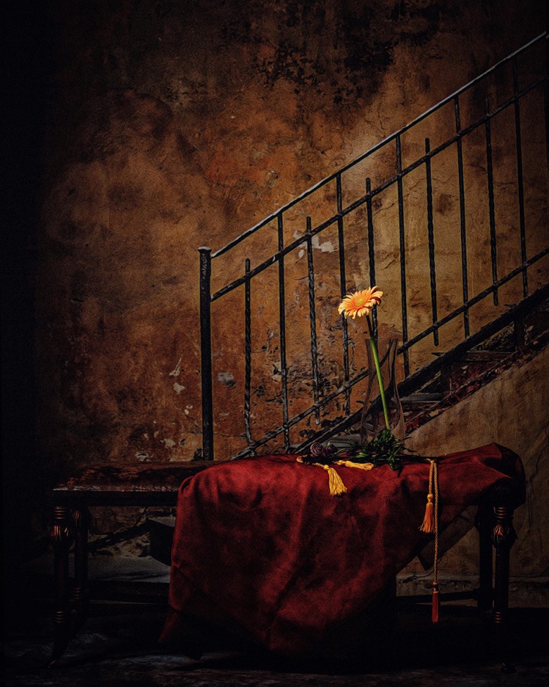 A single bright flower in front of a grungy staircase