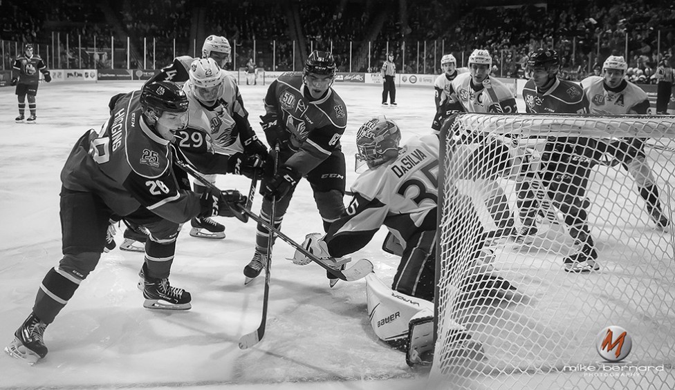 CHL action shot by PE sports photographer, Mike Bernard