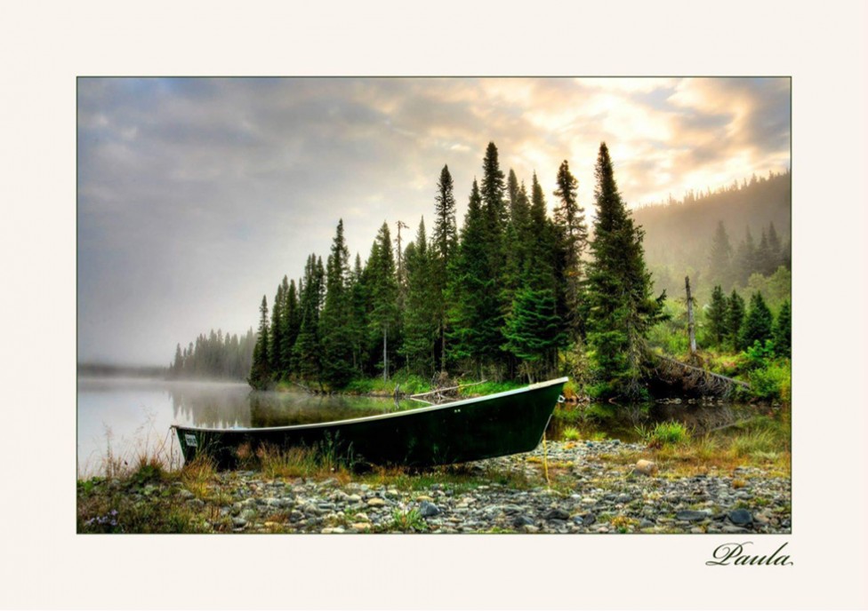 A photo of a green boat next to water, with pine trees in the background, by photographer Paula Lirette.