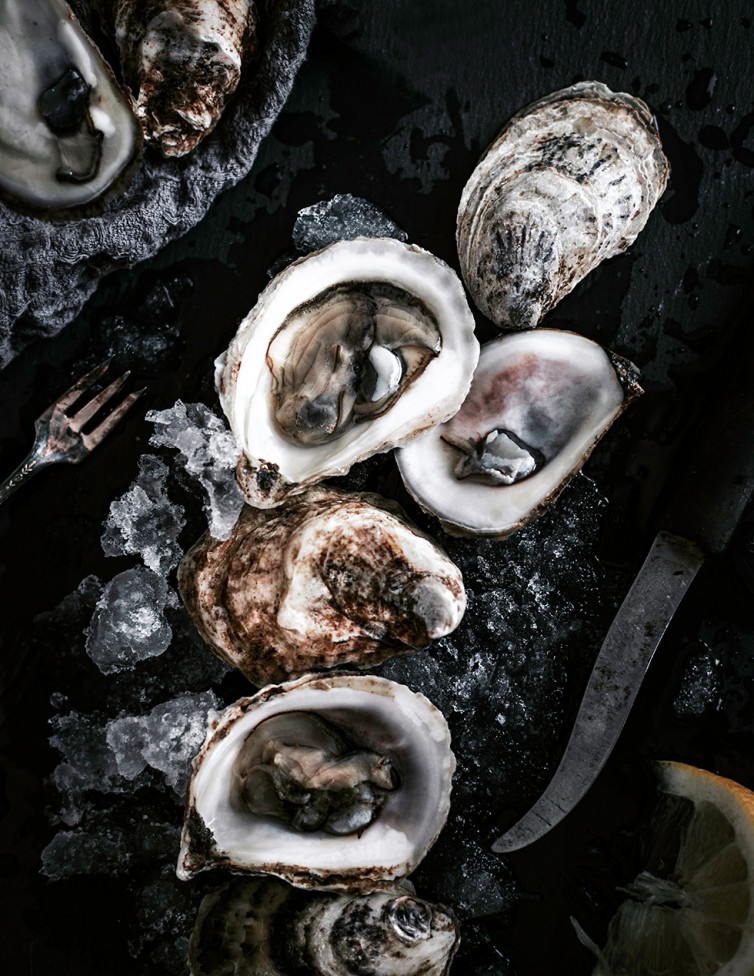 Oysters on the half shell by Sylvie Mazerolle