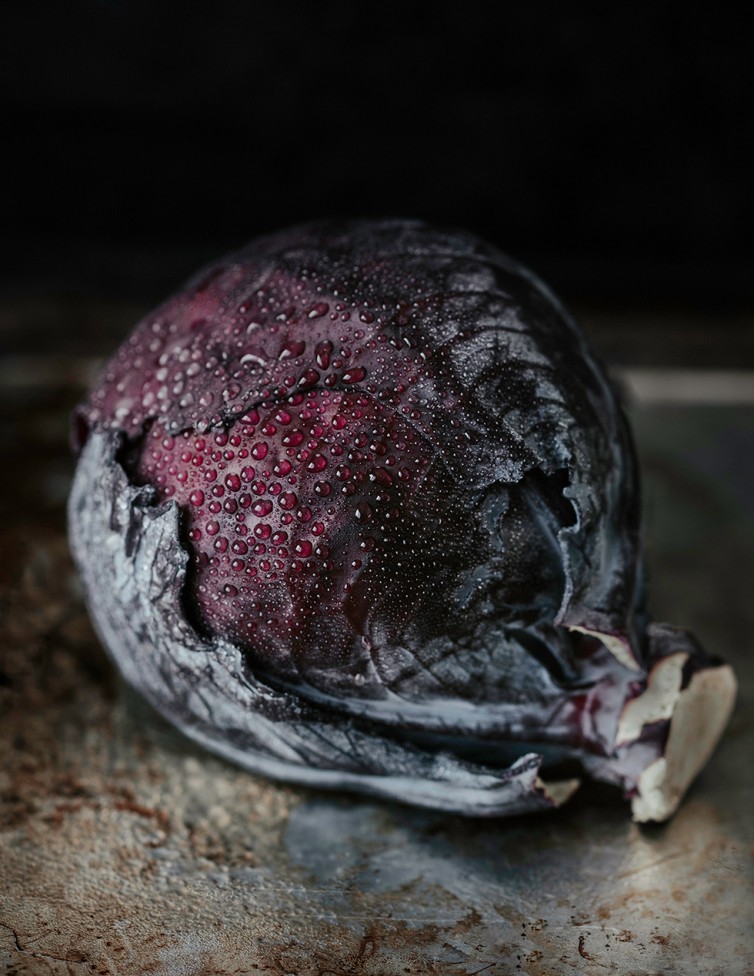 Fresh Purple Cabbage by Sylvie Mazerolle