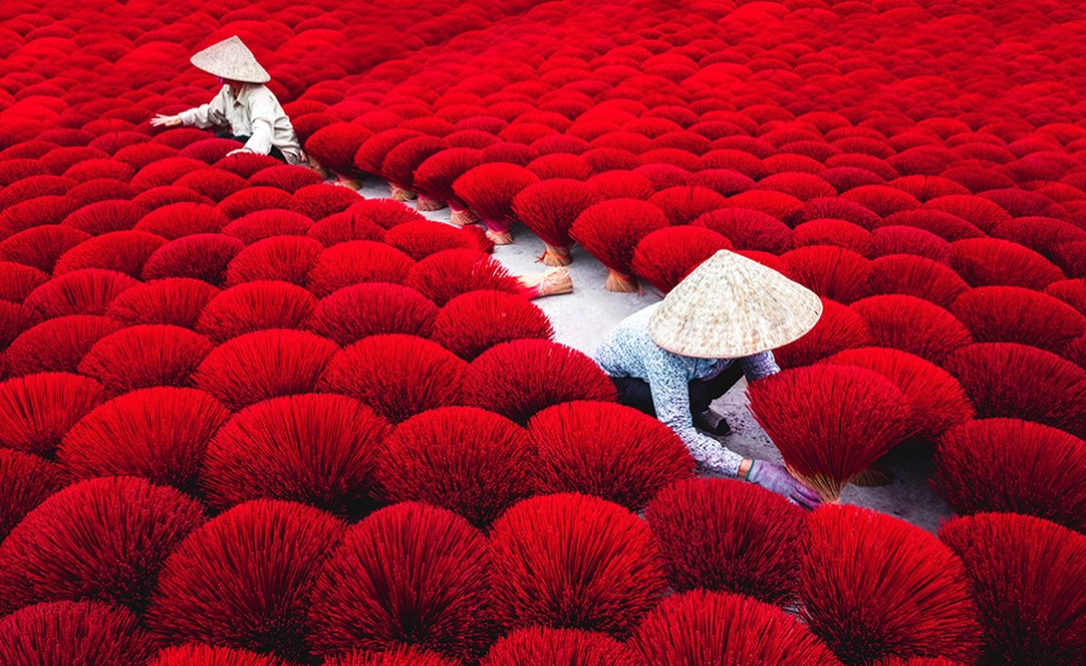 Intense Incense by Dee Potter