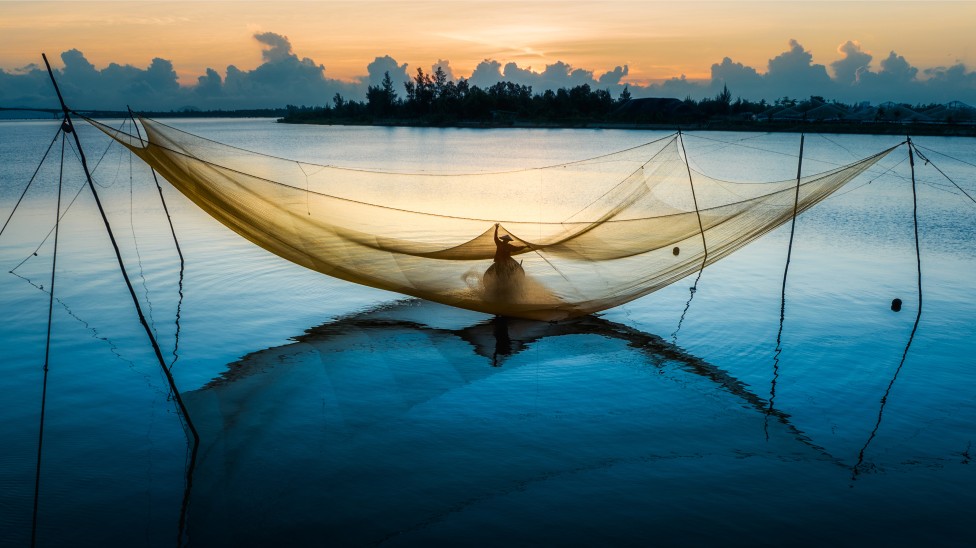 Ro Cho Sunrise by Dee Potter