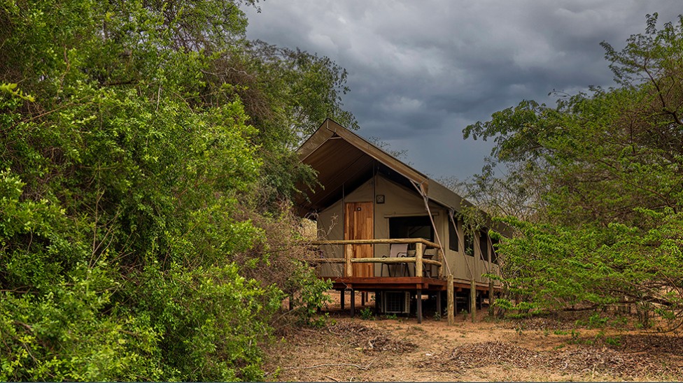 Luxury Camping in Kruger National Park